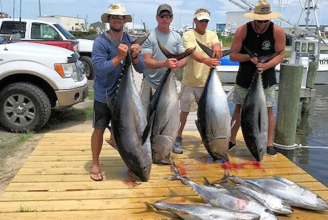 Happy offshore charter group showing off catch of big tuna.